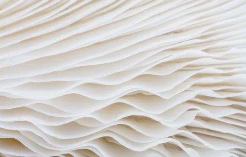 white waves abstract image